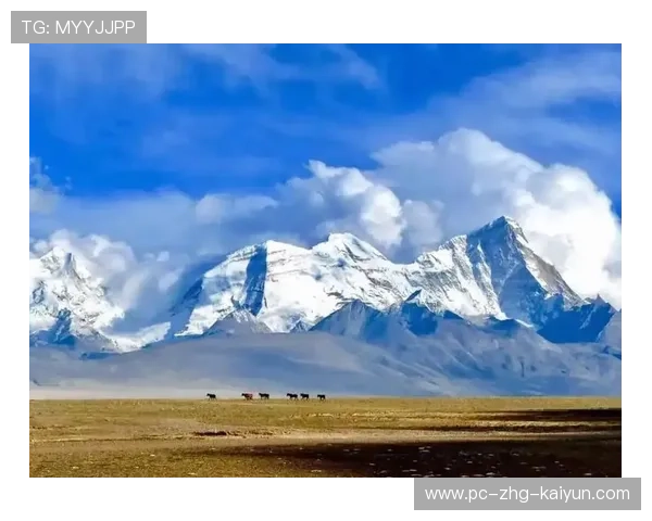 云南高原登山赛，体验不同气候的极限挑战，云南高原山地